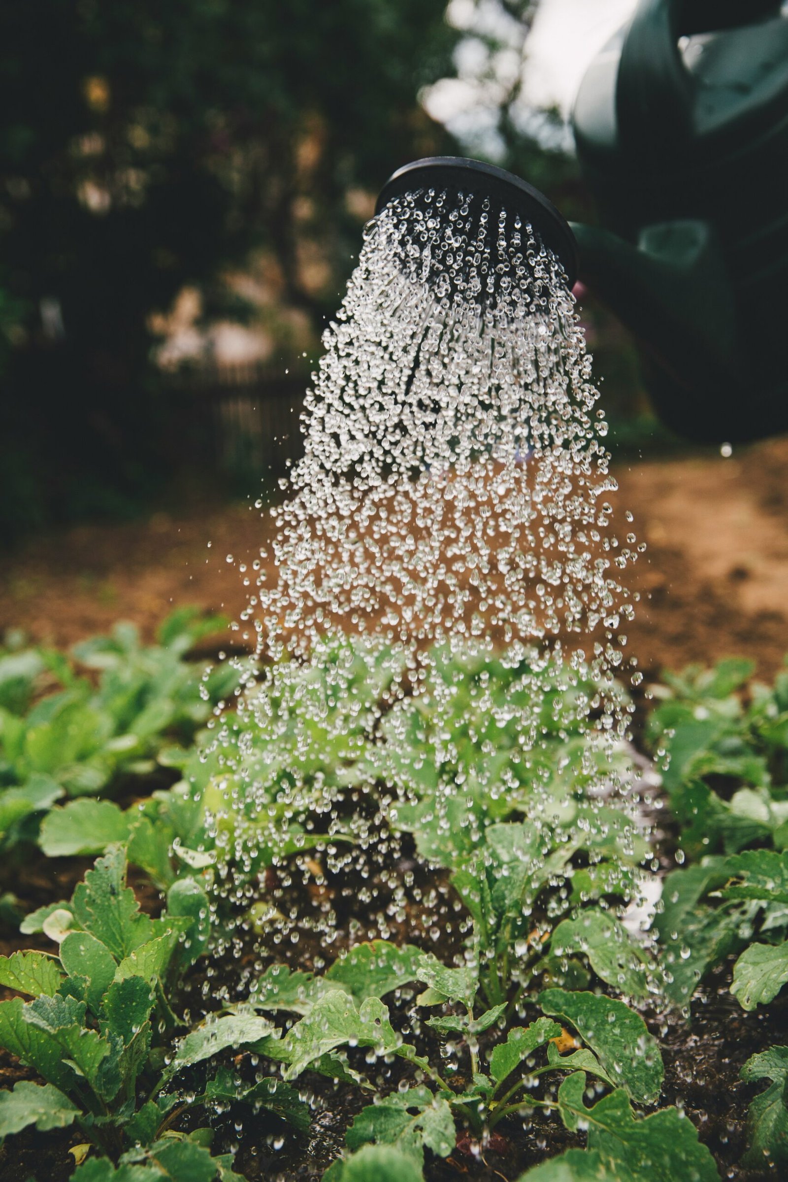 Understanding Garden Hoses: Sizes, Strength, and Connectivity